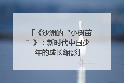 《沙洲的“小树苗”》：新时代中国少年的成长缩影