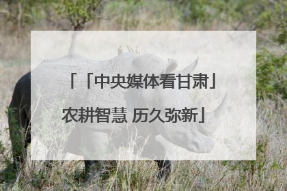 「中央媒体看甘肃」农耕智慧 历久弥新