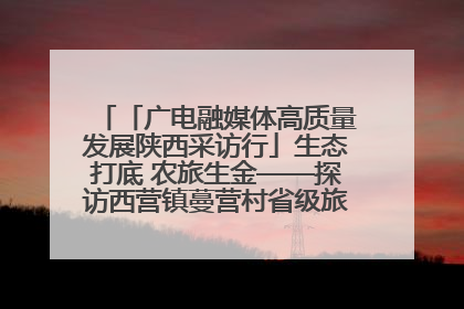 「广电融媒体高质量发展陕西采访行」生态打底 农旅生金——探访西营镇蔓营村省级旅游示范村的振兴密码