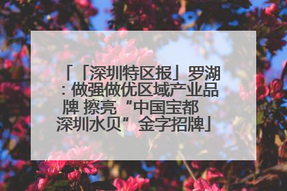 「深圳特区报」罗湖：做强做优区域产业品牌 擦亮“中国宝都 深圳水贝”金字招牌