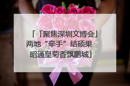 「聚焦深圳文博会」两地“牵手”结硕果 昭通皇菊香飘鹏城