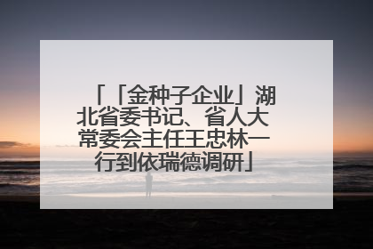 「金种子企业」湖北省委书记、省人大常委会主任王忠林一行到依瑞德调研