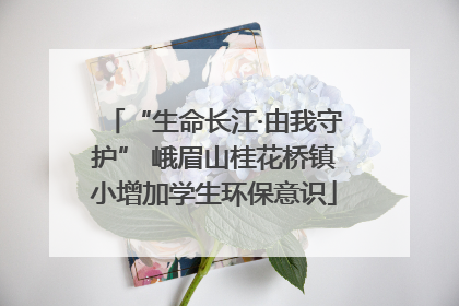 “生命长江·由我守护” 峨眉山桂花桥镇小增加学生环保意识