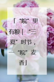 “皖”里有粮｜“三夏”时节，一“皖”麦香