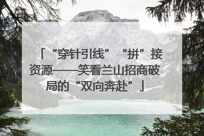 “穿针引线”“拼”接资源——笑看兰山招商破局的“双向奔赴”