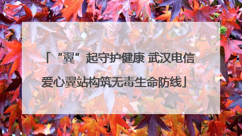 “翼”起守护健康 武汉电信爱心翼站构筑无毒生命防线
