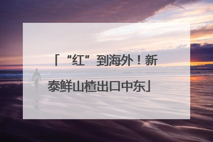“红”到海外！新泰鲜山楂出口中东