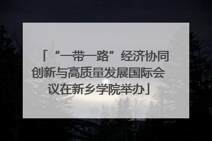 “一带一路”经济协同创新与高质量发展国际会议在新乡学院举办