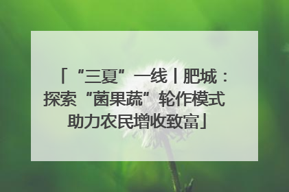 “三夏”一线丨肥城：探索“菌果蔬”轮作模式 助力农民增收致富