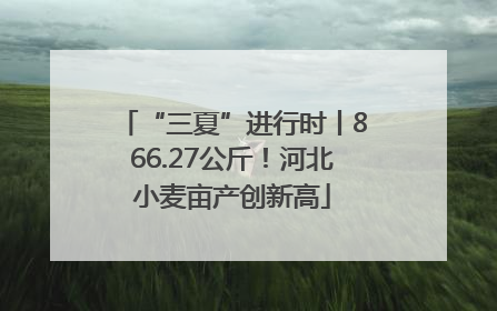 “三夏”进行时丨866.27公斤！河北小麦亩产创新高