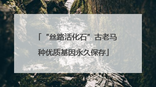 “丝路活化石”古老马种优质基因永久保存