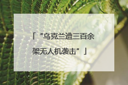 “乌克兰遭三百余架无人机袭击”