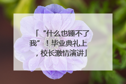 “什么也锤不了我”！毕业典礼上，校长激情演讲