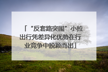 “反套路突围”小拉出行凭差异化优势在行业竞争中脱颖而出