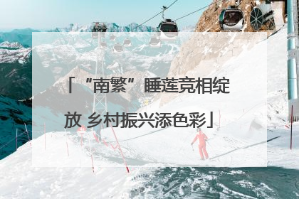 “南繁”睡莲竞相绽放 乡村振兴添色彩