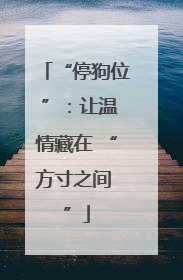 “停狗位 ”：让温情藏在 “方寸之间 ”
