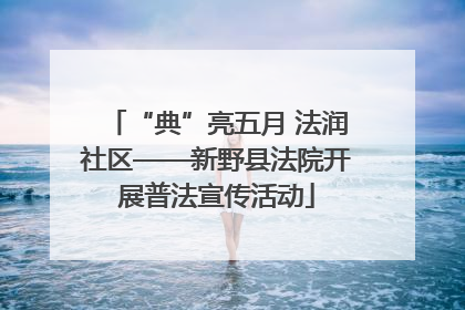 “典”亮五月 法润社区——新野县法院开展普法宣传活动