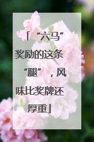 “六马”奖励的这条“腿”，风味比奖牌还厚重