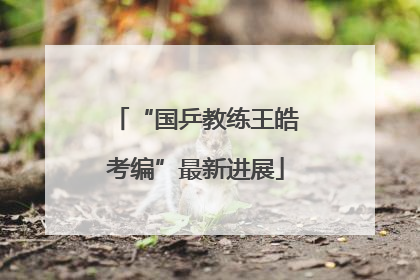 “国乒教练王皓考编”最新进展