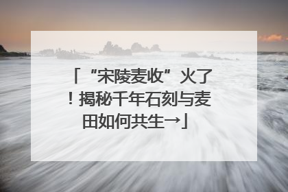 “宋陵麦收”火了！揭秘千年石刻与麦田如何共生→