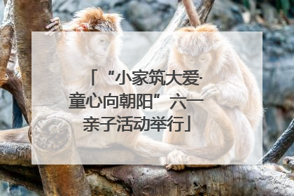 “小家筑大爱·童心向朝阳”六一亲子活动举行
