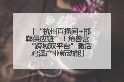 “杭州直播间+邯郸供应链”！角兽营“跨域双平台”激活鸡泽产业新动能
