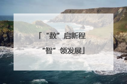 “数”启新程 “智”领发展