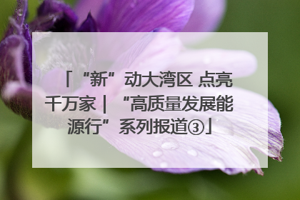 “新”动大湾区 点亮千万家｜“高质量发展能源行”系列报道③