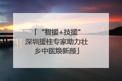 “智援+技援” 深圳援桂专家助力壮乡中医焕新颜