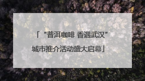 “普洱咖啡 香遇武汉”城市推介活动盛大启幕