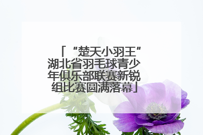 “楚天小羽王”湖北省羽毛球青少年俱乐部联赛新锐组比赛圆满落幕
