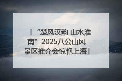 “楚风汉韵 山水淮南”2025八公山风景区推介会惊艳上海