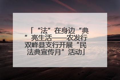 “法”在身边“典”亮生活——农发行双峰县支行开展“民法典宣传月”活动