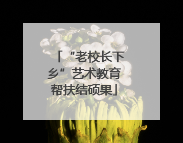 “老校长下乡”艺术教育帮扶结硕果