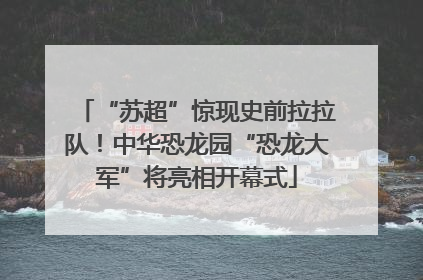 “苏超”惊现史前拉拉队！中华恐龙园“恐龙大军”将亮相开幕式