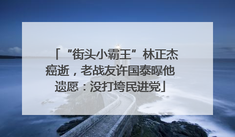 “街头小霸王”林正杰癌逝，老战友许国泰曝他遗愿：没打垮民进党