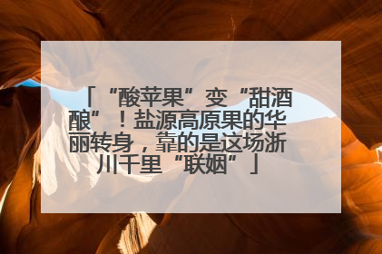 “酸苹果”变“甜酒酿”！盐源高原果的华丽转身，靠的是这场浙川千里“联姻”