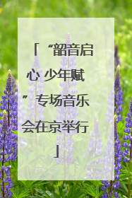 “韶音启心 少年赋”专场音乐会在京举行