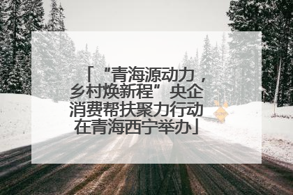 “青海源动力，乡村焕新程”央企消费帮扶聚力行动在青海西宁举办