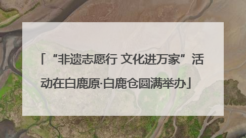 “非遗志愿行 文化进万家”活动在白鹿原·白鹿仓圆满举办