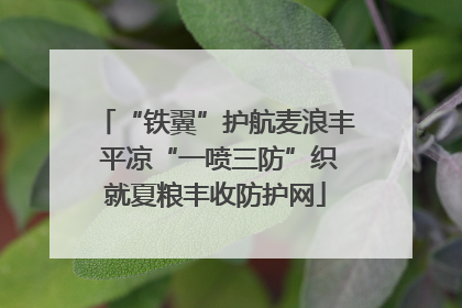 “铁翼”护航麦浪丰 平凉“一喷三防”织就夏粮丰收防护网