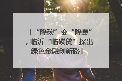 “降碳”变“降息”，临沂“临碳贷”探出绿色金融创新路