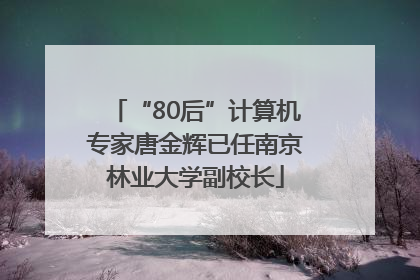 “80后”计算机专家唐金辉已任南京林业大学副校长