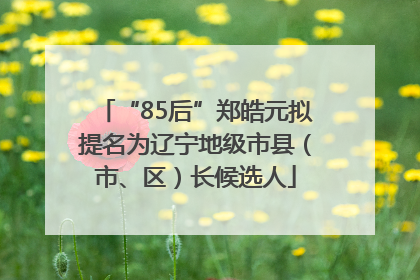 “85后”郑皓元拟提名为辽宁地级市县（市、区）长候选人