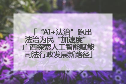 “AI+法治”跑出法治为民“加速度” 广西探索人工智能赋能司法行政发展新路径