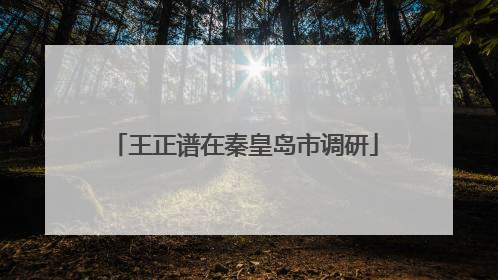 王正谱在秦皇岛市调研