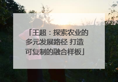 王超：探索农业的多元发展路径 打造可复制的融合样板