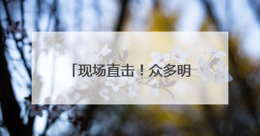 现场直击！众多明星装备在此亮相