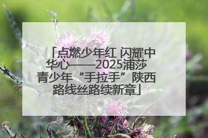 点燃少年红 闪耀中华心——2025浦莎青少年“手拉手”陕西路线丝路续新章