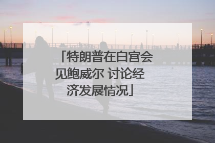 特朗普在白宫会见鲍威尔 讨论经济发展情况
